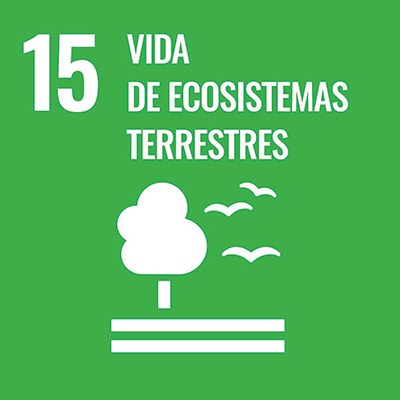 SDG goal 15